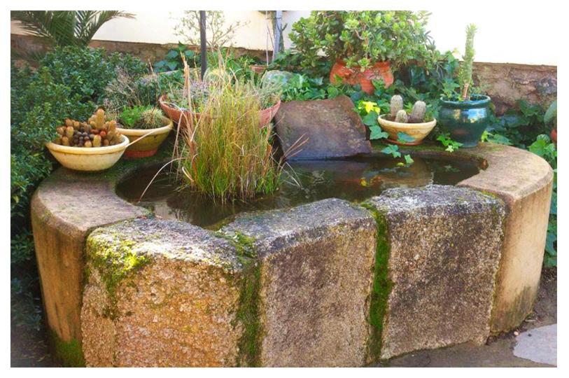 Casa Rural Valdevilano La Roca de la Sierra Екстер'єр фото